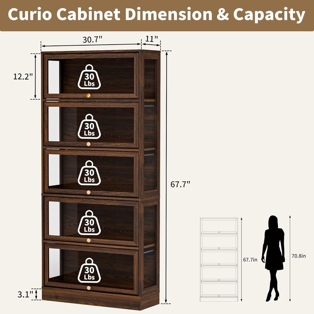 5-Tier Walnut Acrylic Glass Di - Collectible Collection reseña y precio