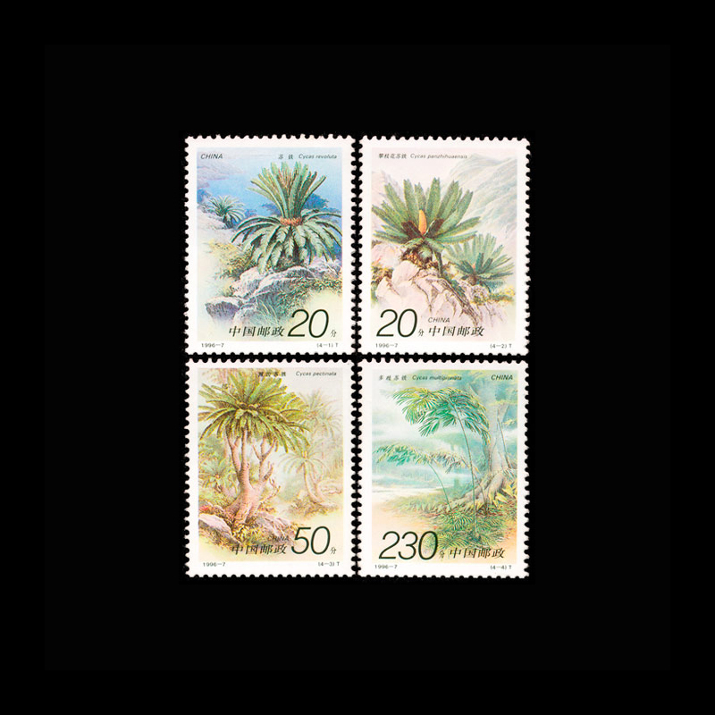 Vintage 1996 Chinese Cycas Pla - Vintage Collectible Stamps reseña y precio