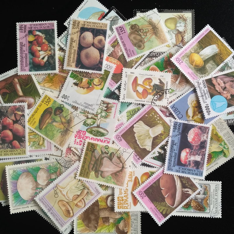 100 Different Original Mushroo - Vintage Collectible Stamps reseña y precio