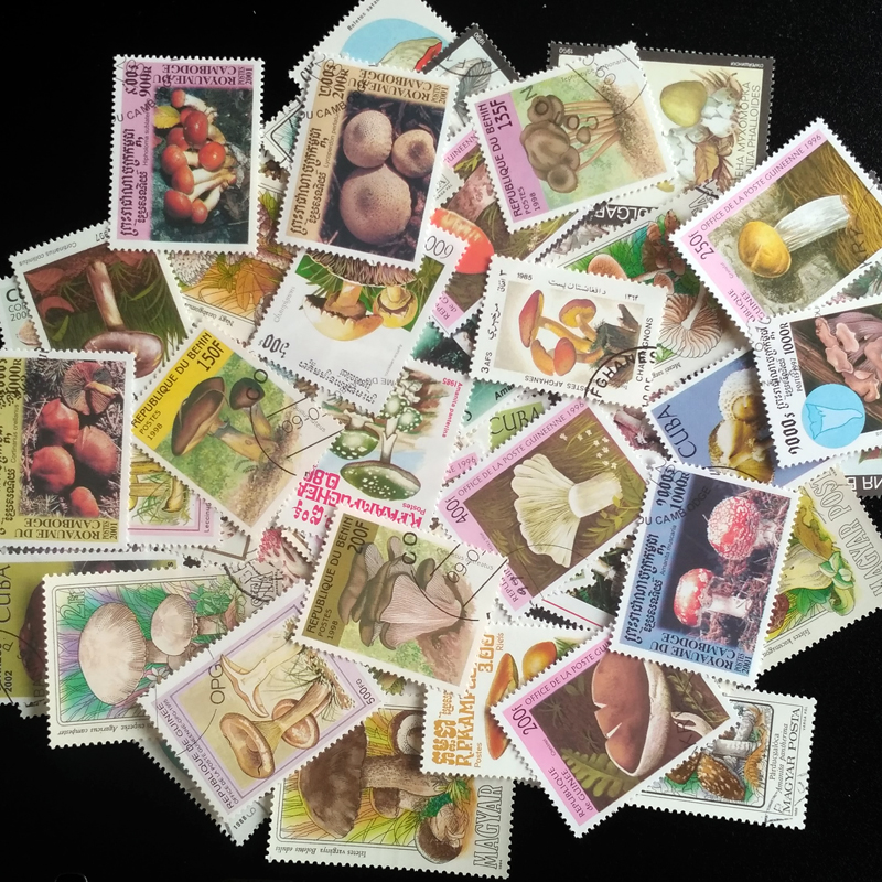 100 Different Original Mushroo - Vintage Collectible Stamps reseña y precio