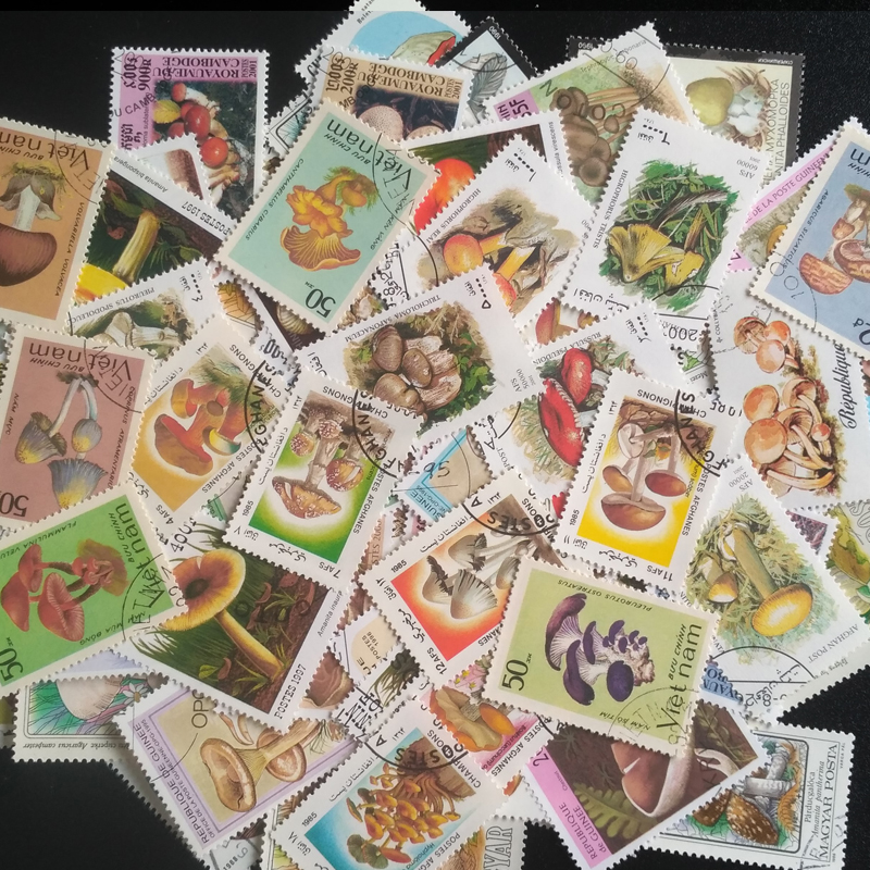 100 Different Original Mushroo - Vintage Collectible Stamps reseña y precio